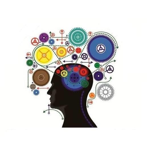 Academia da Consciência